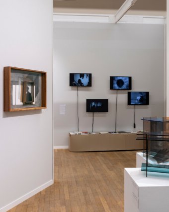 Secteur Voices - Art contemporain, art moderne - monde de l'art, photographie, photo - commissaire