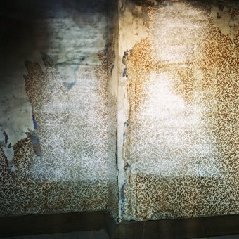 © Nanténé Traoré, Devrim Bayar - Portrait