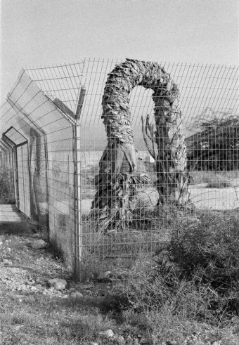 © Nanténé Traoré, Devrim Bayar - Portrait