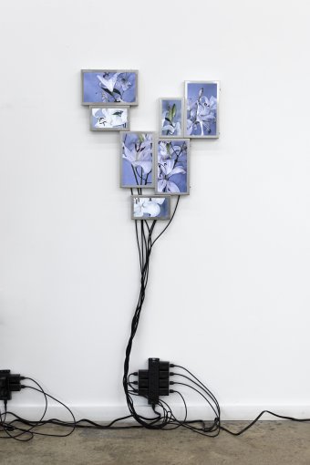 © Nanténé Traoré, Devrim Bayar - Portrait