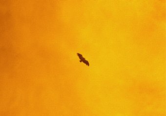   Prix de la Maison Ruinart