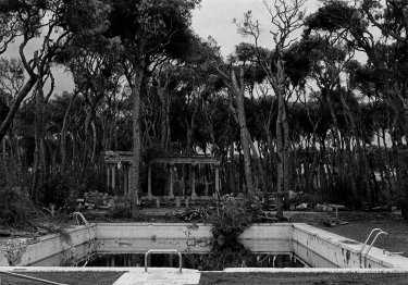 Federica Angelucci - Directrice de Stevenson