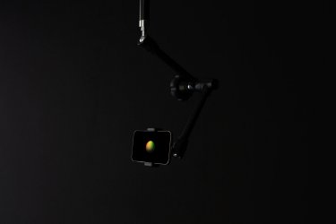 Federica Angelucci - Directrice de Stevenson