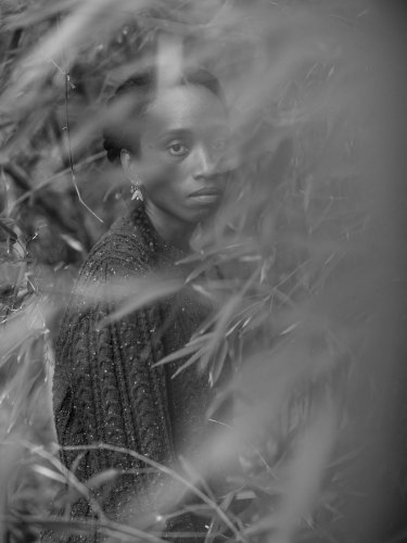 Federica Angelucci - Directrice de Stevenson