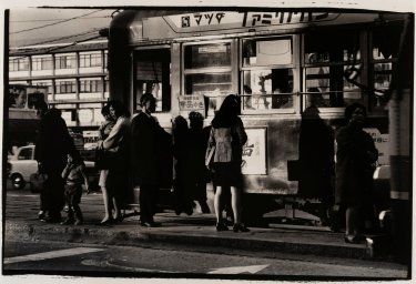 Federica Angelucci - Directrice de Stevenson